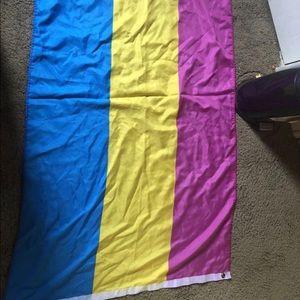 PAnsexual flag